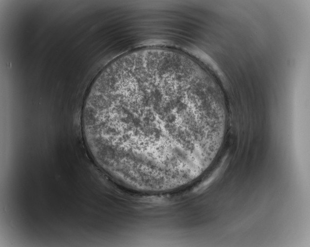 X0000089710937200707201758