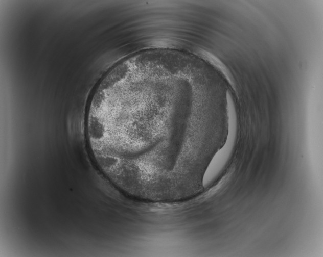 X0000089710938200707201758