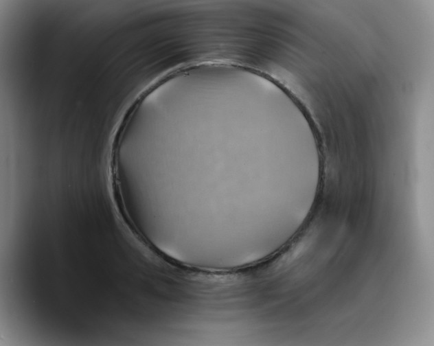 X0000089710941200707201758