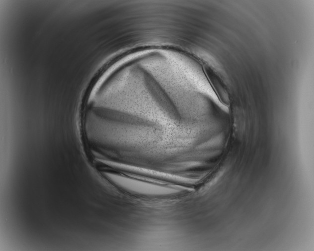 X0000089710942200707201758