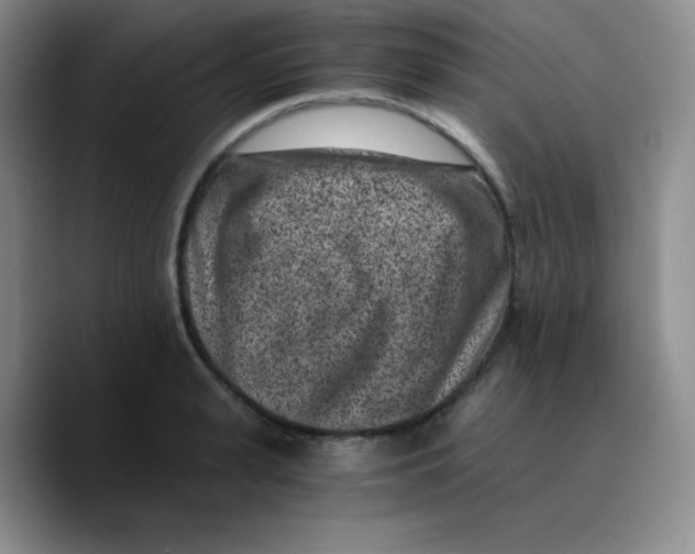 X0000089710943200707201758