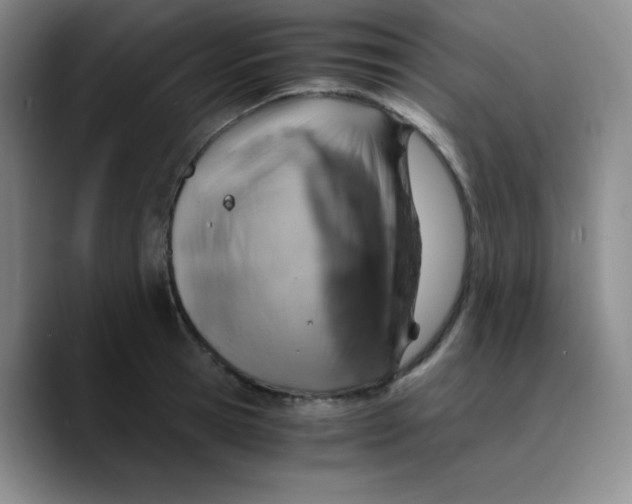 X0000089710945200707201758