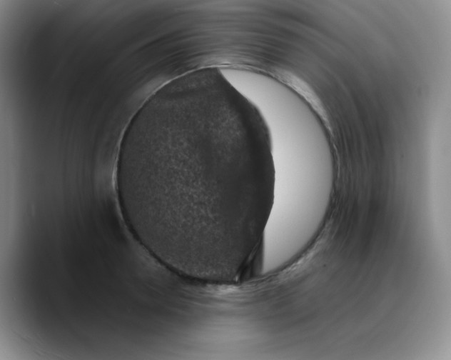 X0000089710946200707201758