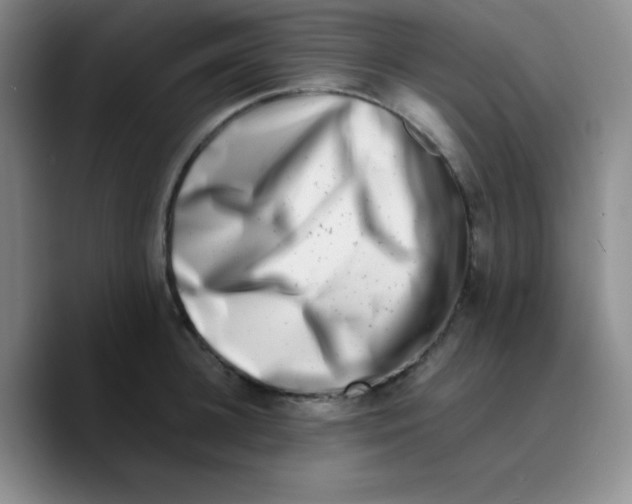 X0000089710948200707201758