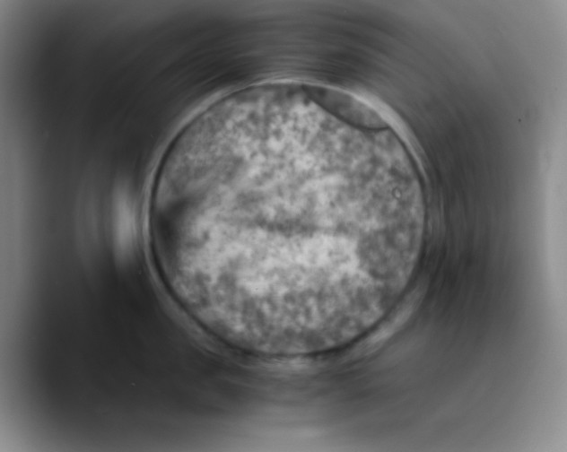 X0000089710957200707201758