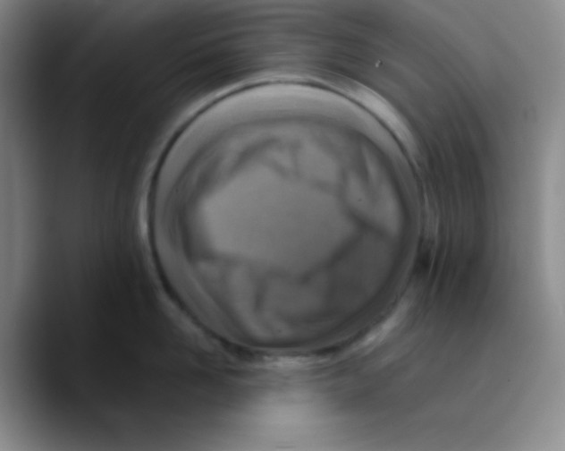 X0000089710958200707201758