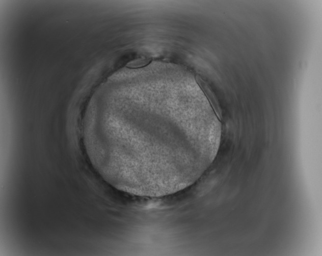 X0000089710961200707201757