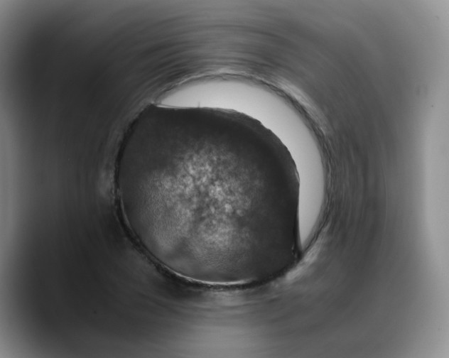 X0000089710977200707201757