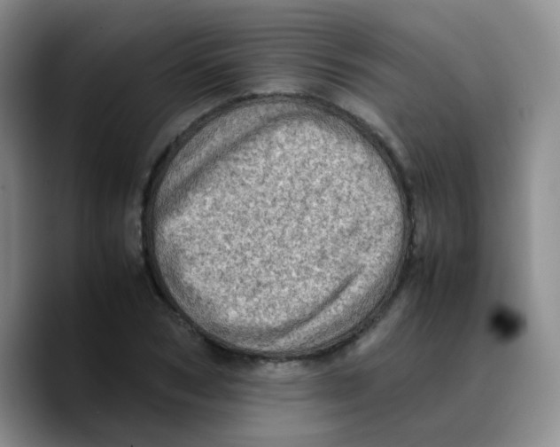 X0000089710978200707201757