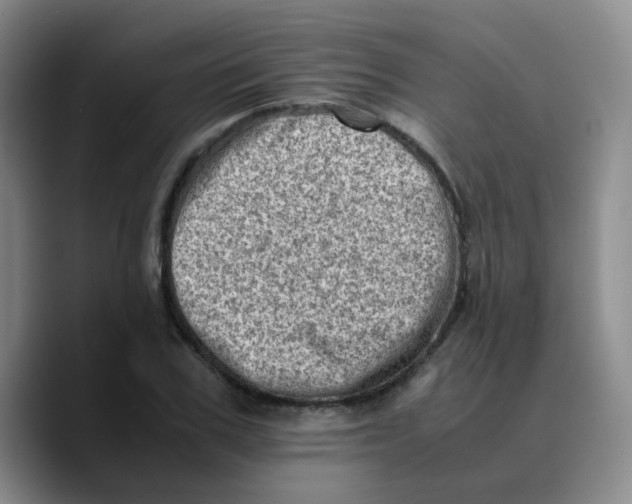 X0000089710979200707201757