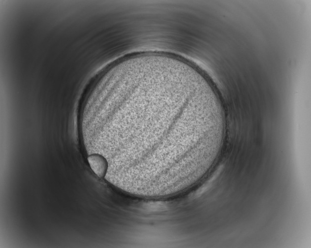 X0000089710982200707201757