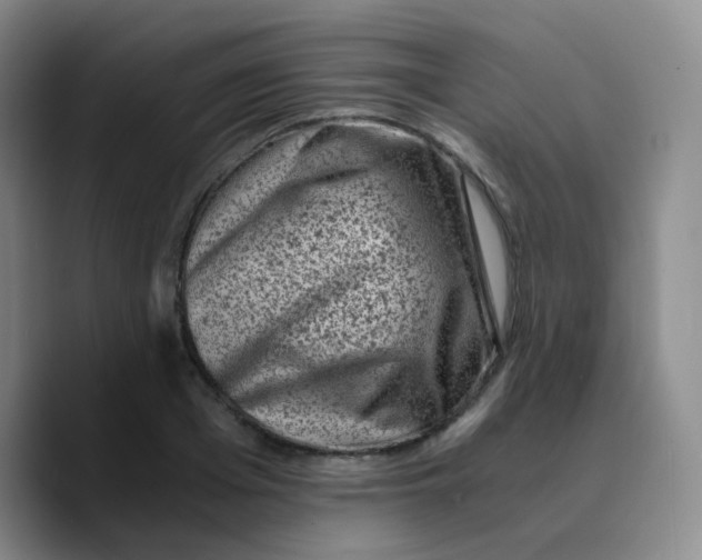 X0000089710985200707201757