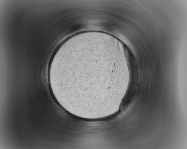 X0000089710988200707201757