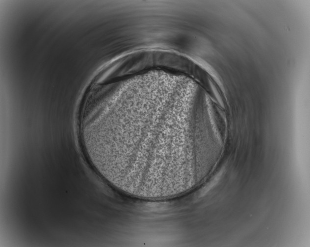 X0000089710989200707201757