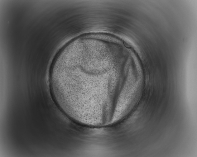 X0000089710990200707201757