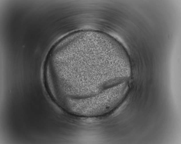 X0000089710991200707201757