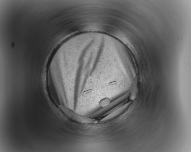 X0000089710992200707201757