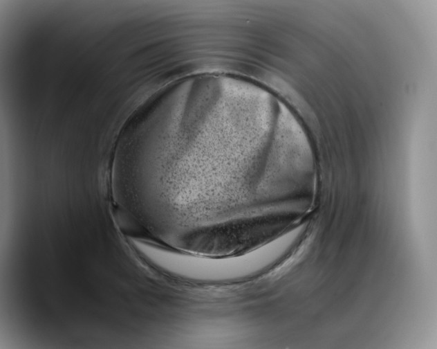 X0000089710993200707201757