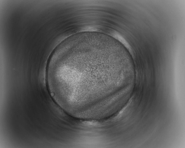 X0000089710994200707201757