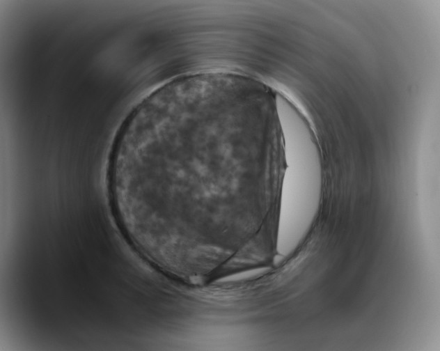 X0000089710995200707201757
