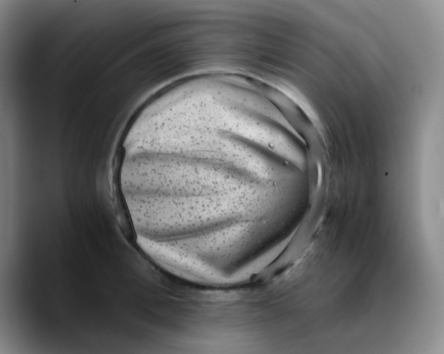 X0000089710996200707201757