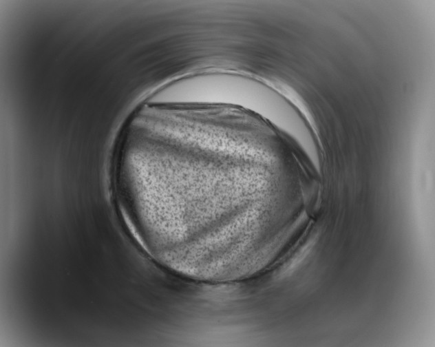 X0000089710997200707201757