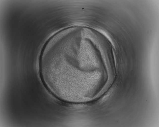 X0000089710999200707201757