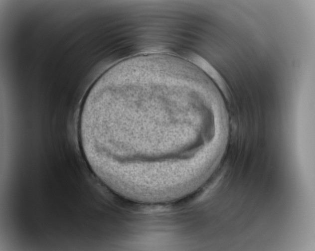 X0000089711002200707201757
