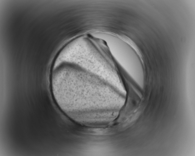 X0000089711005200707201757