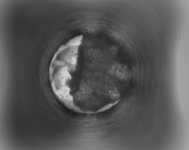 X0000089711009200707201756
