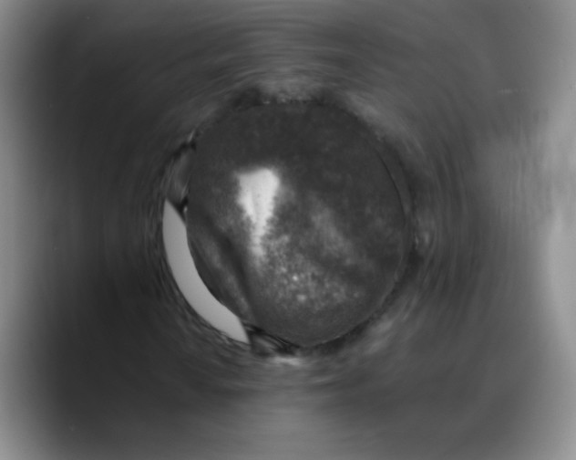 X0000089711010200707201756