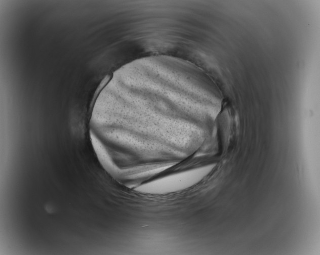X0000089711012200707201756