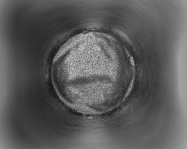 X0000089711016200707201756
