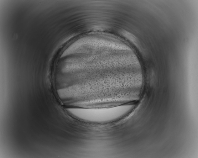 X0000089711018200707201756