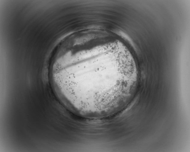 X0000089711019200707201756