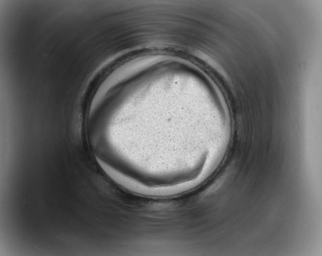 X0000089711021200707201756