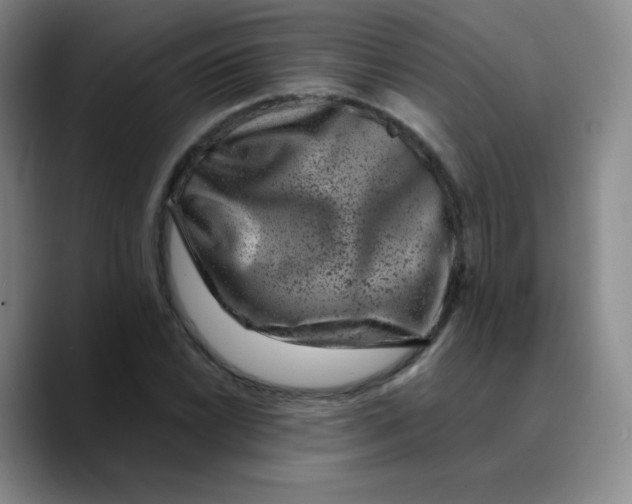 X0000089711022200707201756