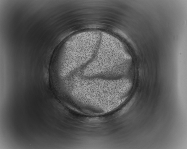 X0000089711025200707201756
