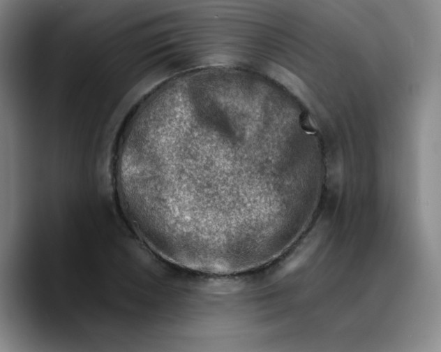 X0000089711026200707201756