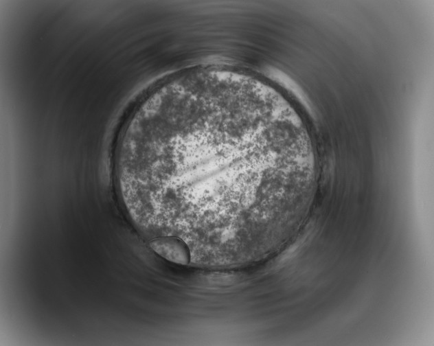 X0000089711027200707201756