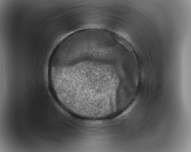 X0000089711030200707201756