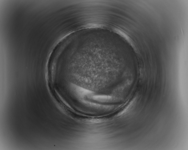 X0000089711034200707201756