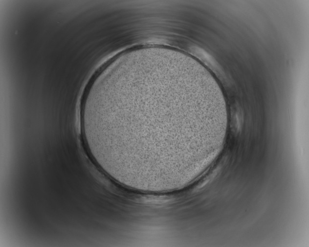 X0000089711036200707201756