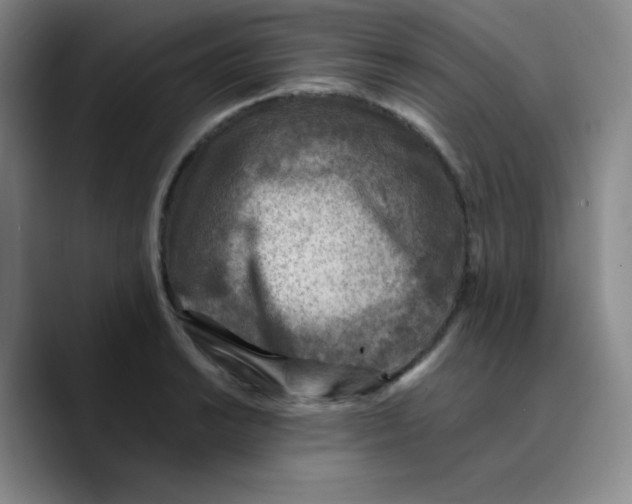 X0000089711038200707201756