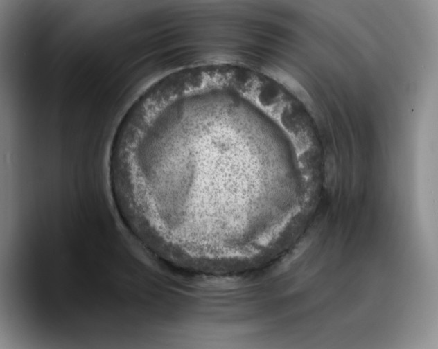 X0000089711039200707201756