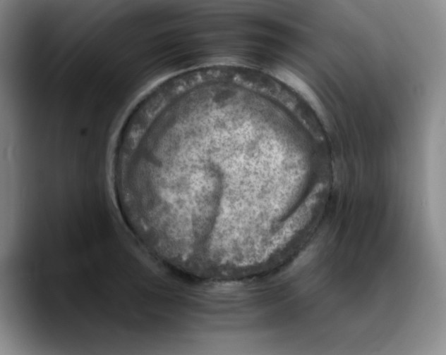 X0000089711043200707201756
