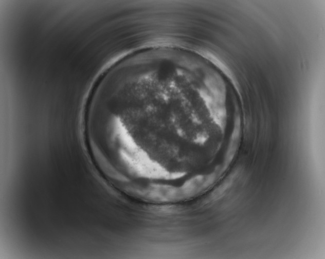 X0000089711045200707201756