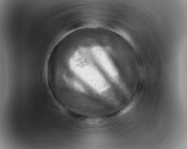 X0000089711046200707201756