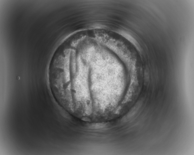 X0000089711047200707201756