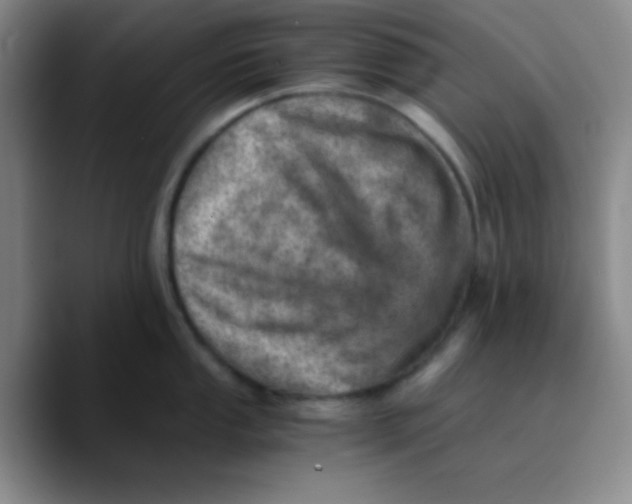 X0000089711053200707201757